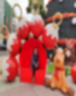 Vom Partner bereitgestelltes Porträt